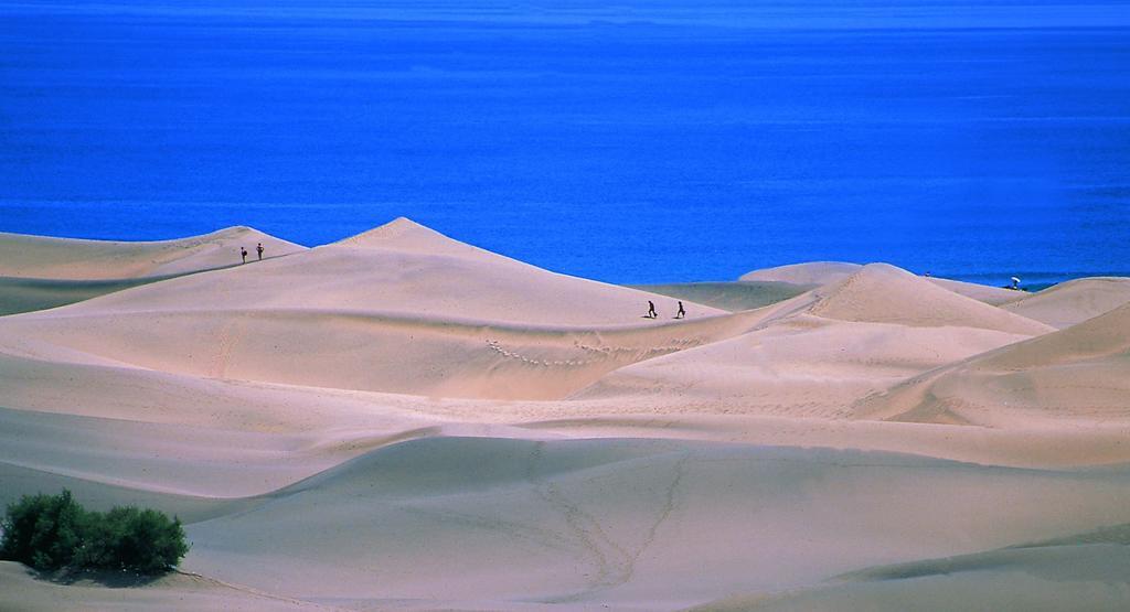 Oasis Playa Maspalomas มาสปาโลมาส ภายนอก รูปภาพ